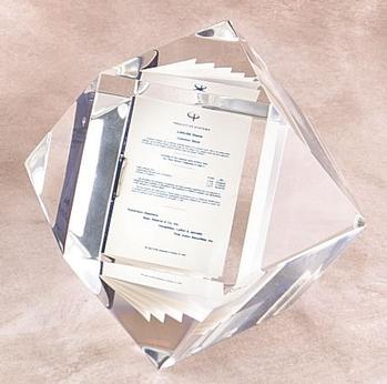 14 Sided Cubes - Lucite Embedments