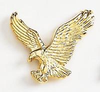 Eagle Cast Lapel Pin